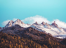 开云APP-U23国足用最务实的打法换来最想要的成绩|U23队|小组赛|1/4决赛|亚洲杯|亚足联_新浪体育_新浪新闻