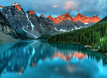 开云官网：一场关于美学与服务的数字化旅程